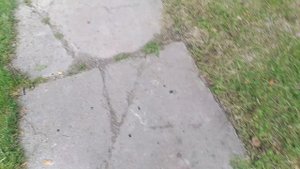 уличный влог