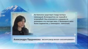 •ЦИТАТА: НА КАМЧАТКЕ ОБИТАЮТ 3 ВИДА ПАЛТУСА: СИНЕКОРЫЙ, БЕЛОКОРЫЙ И ОСТРОЗУБЫЙ.•