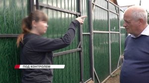 Дети вышли в школу, а родители начали переживать за их безопасность