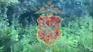 В Новомосковске полицейские накрыли конопляных «плантаторов»