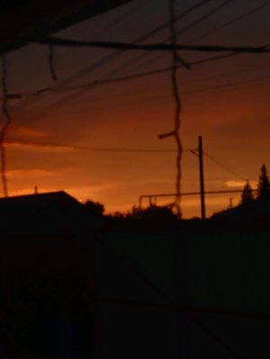 стрим по роблоксу.