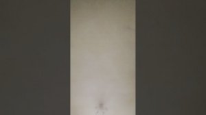 история о том как Валерий хоменчук и мастер Валерий перевозченко