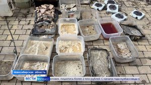 ТЦ на деньги от наркотиков и несовершеннолетний мотоциклист: сводка происшествий по Кузбассу