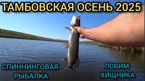 Спиннинговая рыбалка осень2025.