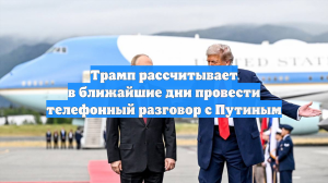 Трамп рассчитывает в ближайшие дни провести телефонный разговор с Путиным
