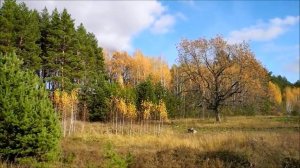 Осень пришла