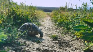 Заповедник «Утриш» отмечает 15-летие!