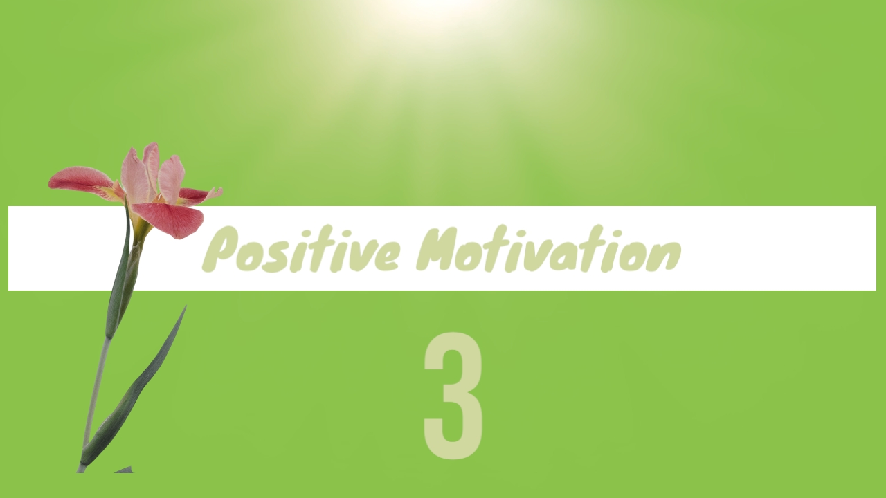 Позитивная мотивация 3. ГИБКАЯ СИЛА. Фитнес тренировки. Место Силы.