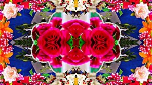 С Днём Рождения!!! Яркие Краски уходящего лета 3!!!