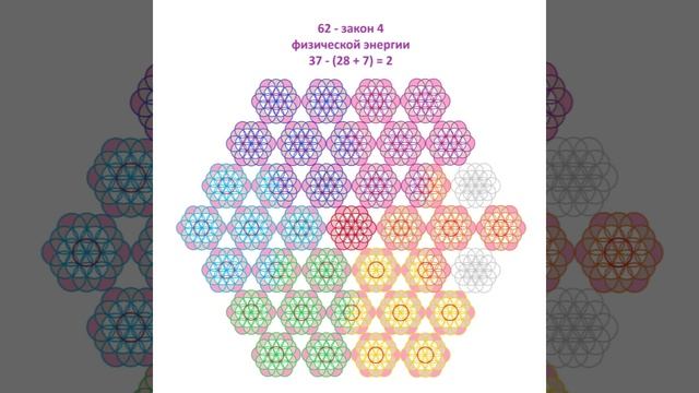 День 62. Лилия Борей. Абсолютная истина Цветка Жизни. #силасознания