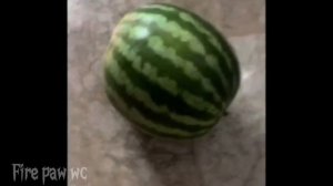 Мои арты по вайлд крафт (вроде все) 😅