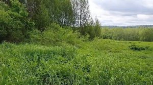 д. Вишенки 50-18-0060208-429