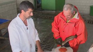 В Сочи начали доить форель