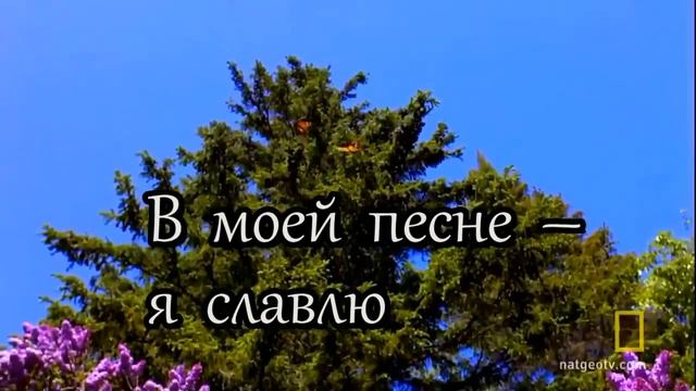 Христианское караоке- Свои руки к небу(love of Christ) смотреть онлайн