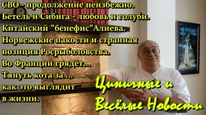 СВО продолжится. Любовь и голуби. Провал Алиева. Во Франции грядёт. Тянуть кота за ... это больно.