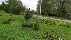 Новополянье! Будни продолжаются!