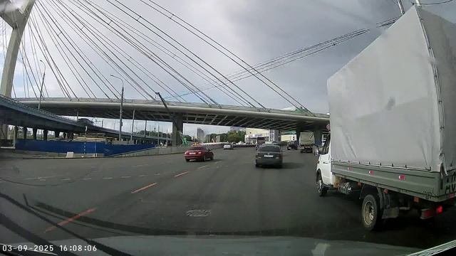 Газель