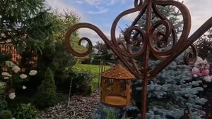 Декоративные элементы в моем хвойном саду 2025.