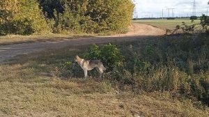 Там - это оттуда, а там - это туда.