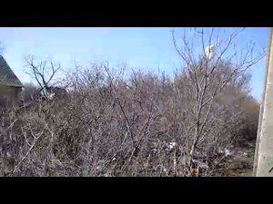 Город Ейск. СНТ Лотос, обзор 1,2,3 дорожки.