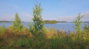 Шексна — река в Вологодской области России, левый приток Волги. Берёт начало из Белого озера.