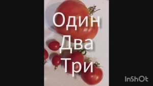 Один, два, три.