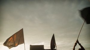 MMA фестиваль - СИЛА В ЕДИНСТВЕ