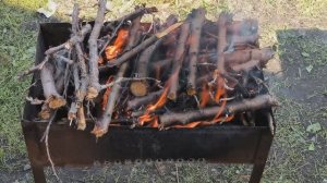 Барбекю на абрикосе