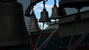 Василиса Тарасова | ТОЧКА.РФ – МЕСТО | г. Рубцовск