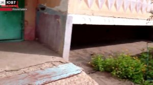 Жители улицы Волгоградской недовольны придомовой территорией