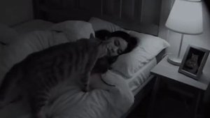 Котья забота и благодарность хозяйке