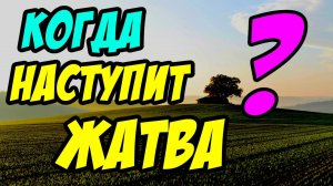 Когда наступит жатва? - Борис Сороковский. Христианские проповеди