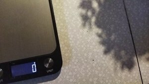 VID_20250903_183113.mp4 персик в сентябре, размерный ряд.