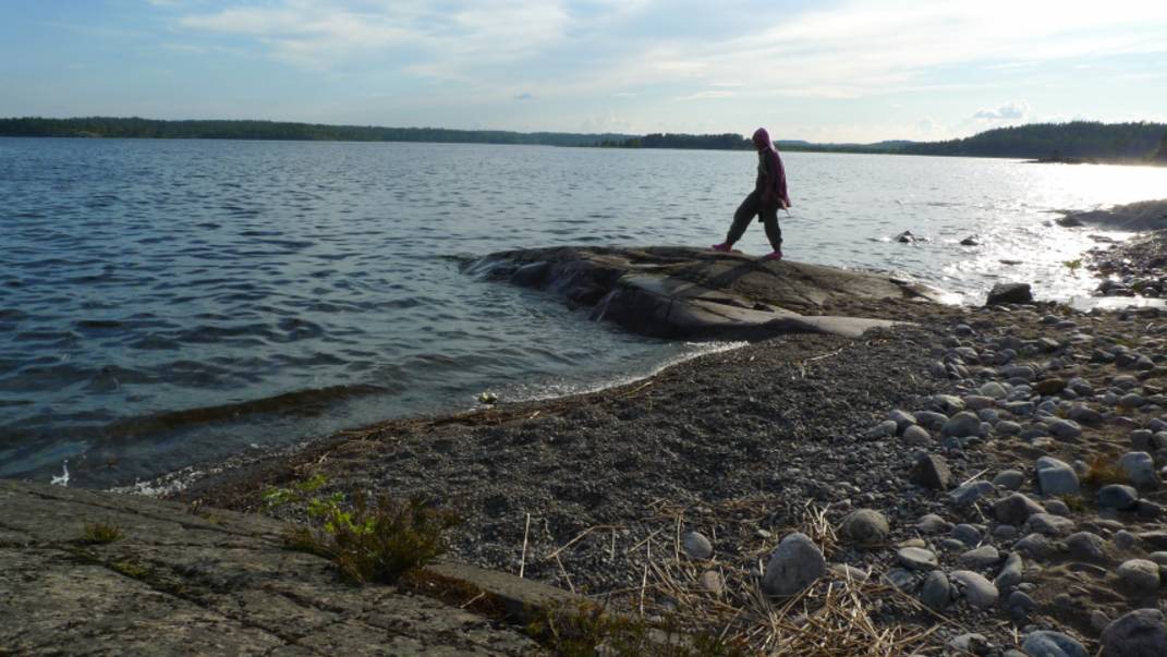 Уход корюшки и гибель нерп: чем грозит потепление воды в Ладоге