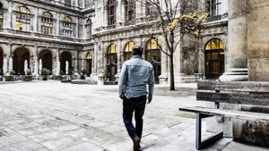 Бесплатные ВУЗы в Европе: Образование в Австрии. University of Vienna. Как поступить? Требования