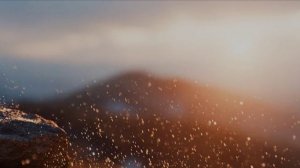 ИИ. На перекрёстке времён (ДР Оли)