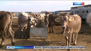 Открыт приём заявок в «Школу фермера»