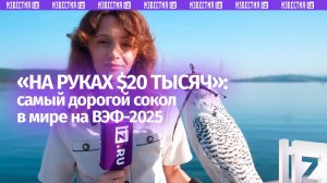 Птица за $250 000: самого дорогого сокола в мире показали на ВЭФ-2025