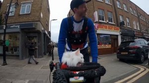 Деловой какой, всех собак обшипел !!!