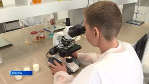 Бесплатные секции доступны вологодским школьникам по специальному сертификату ПФДО