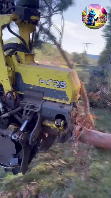 Смотри и наслаждайся смотреть онлайн