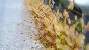 3 сентября только этот символ на руке исполнит ваше желание.