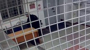 Похитительницу телефона приговорили к обязательным работам