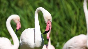 176715-856056313_small