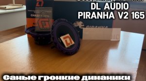 Обзор на громкие динамики от Dl audio piranha v2 165