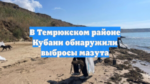 В Темрюкском районе Кубани обнаружили выбросы мазута