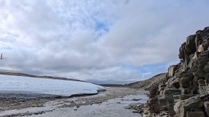 07_чайки атакуют