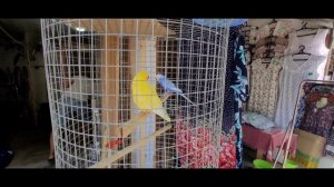 Самый дещёвый рынок Анапы.