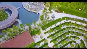 🔴 WHIEDA I ПРОМО НА ЛИДЕРСКИЕ КАНИКУЛЫ ВО ВЬЕТНАМ В ДЕКАБРЕ-2025