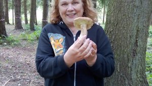 СП Триостаты.Старт №2.тема Грибная поа.